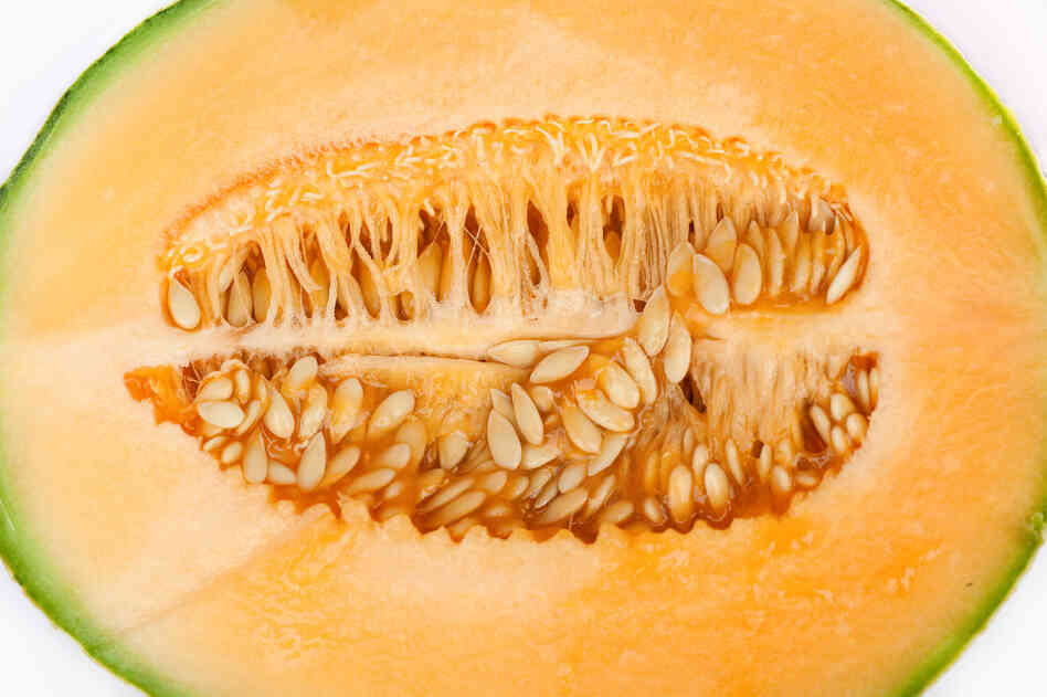 But for some trypophobes, the clusters of seeds in a melon can evoke anxiety, nervousness and even nausea.