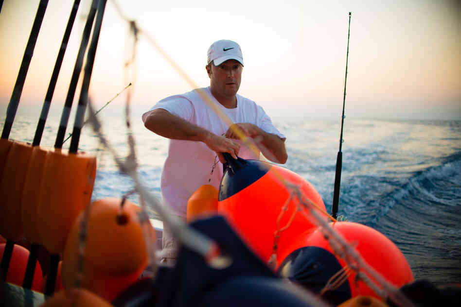 Manganello sets buoys while swordfishing with Palmer. They usually fish with 10-12 buoys that stretch for a mile or two, which have to be repeatedly checked throughout the night for bites.