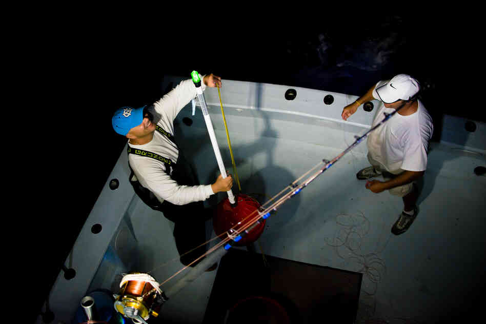Roseman (left) and Manganello set buoys in the water.
