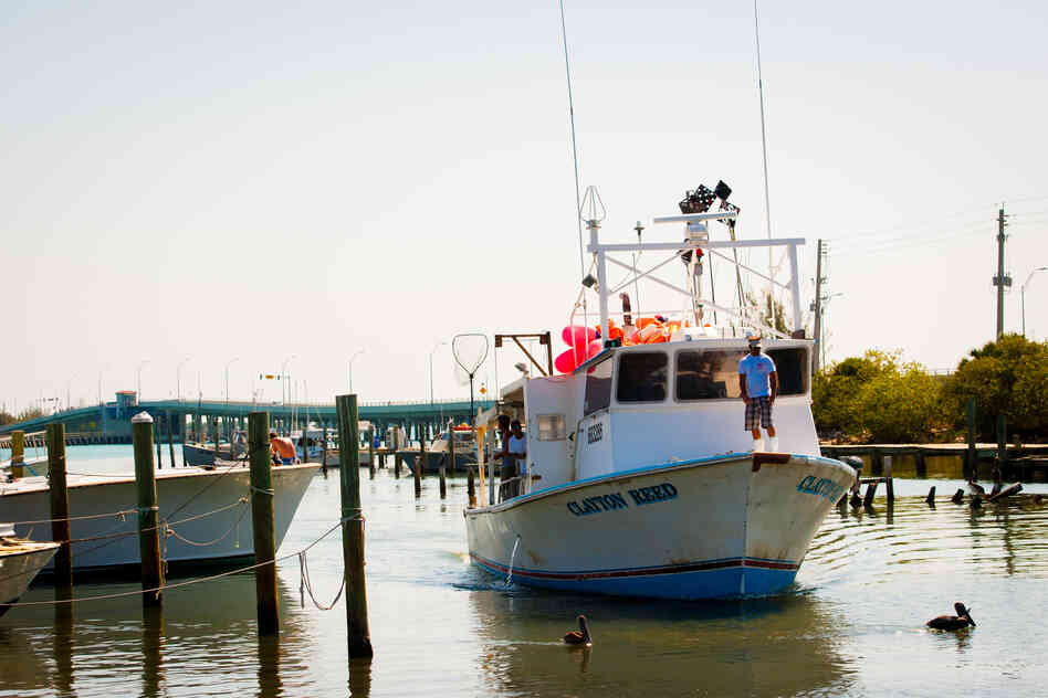 Workers in Fort Pierce, Fla., unload thousands of pounds of catch from a long-line boat that was out for 10 days.