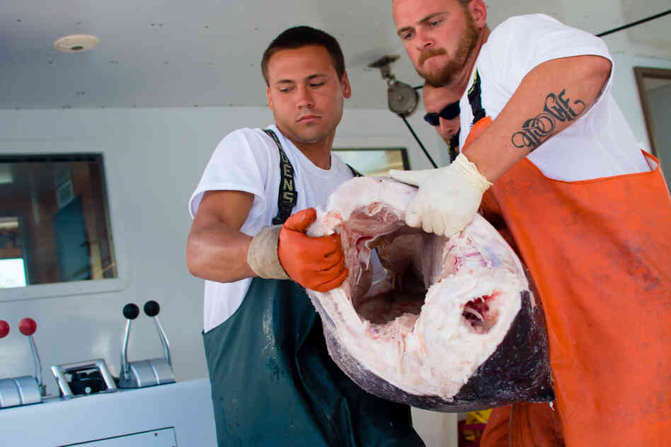 Dylan Rivera (left) and Travis Nachreiner lift a large swordfish out of the boat.