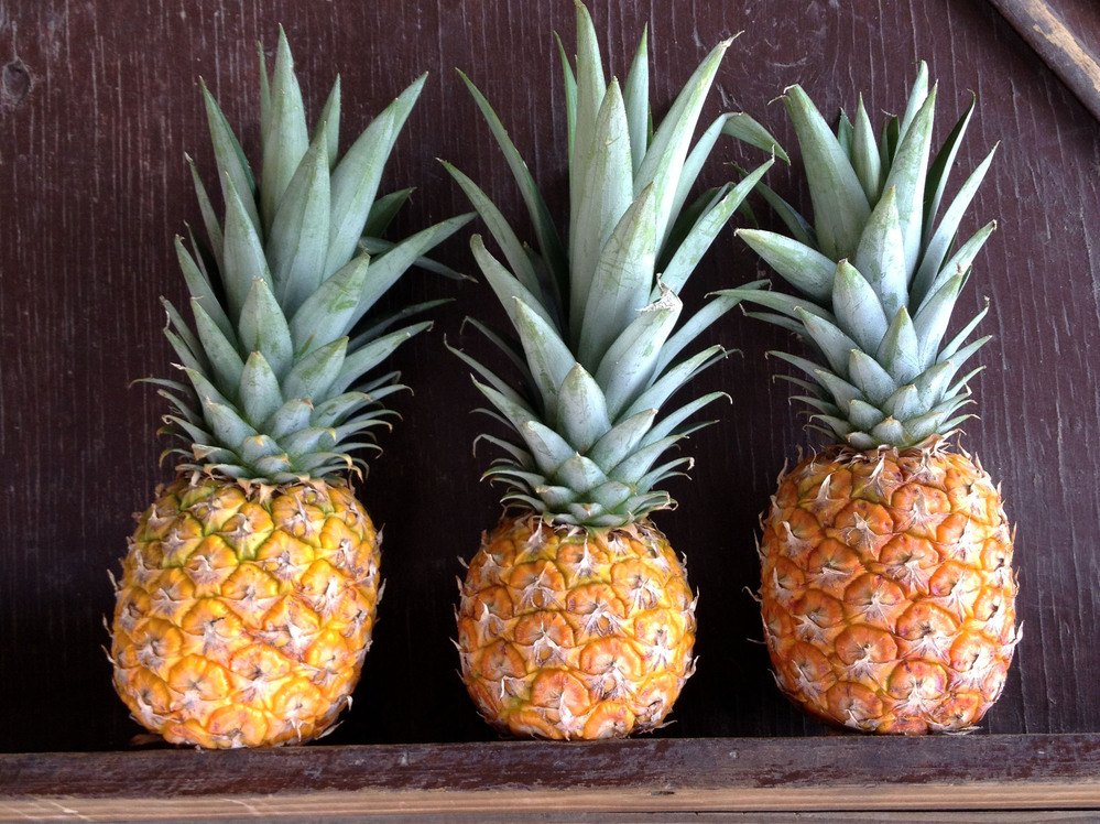 You'd think tropical fruit would be everywhere on a Caribbean island. But we had to search fairly hard to find these beauties.