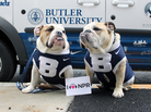 Butler University mascots Blue II & III (Trip) at NPR HQ in Washington, DC. Butler University mascots Blue II & III (Trip) at NPR HQ in Washington, DC.