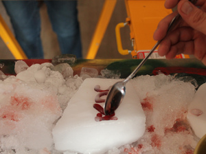 In the Knowledge Commons DC class, participants made candies by playing with flavored syrups on dry ice.