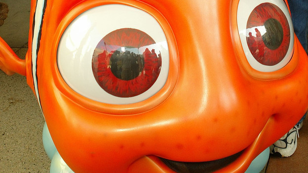 Watch out: Nemo's coming. (PR Newswire)