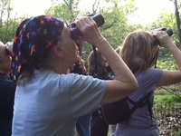 Saphir leads a bird walk in Central Park during spring migration last year.