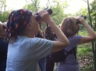 Saphir leads a bird walk in Central Park during spring migration last year. Saphir leads a bird walk in Central Park during spring migration last year.