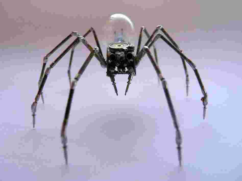 Mechanical spider made from watch parts. Mechanical spider made from watch parts.