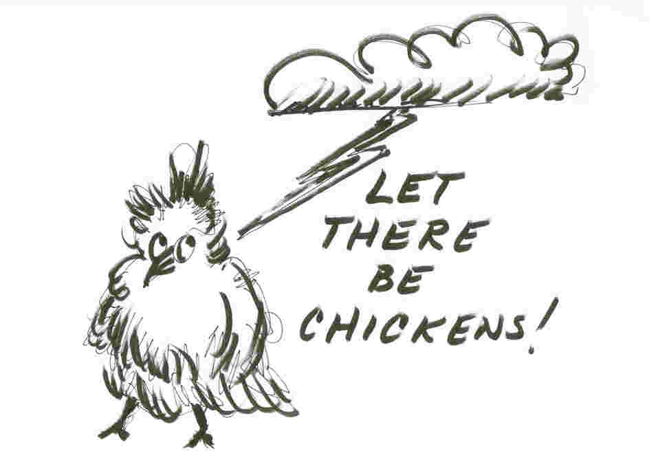Let there be chickens! Let there be chickens!