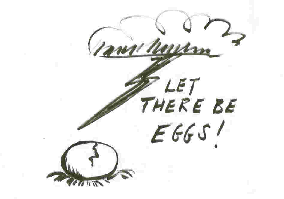Let there be eggs! Let there be eggs!