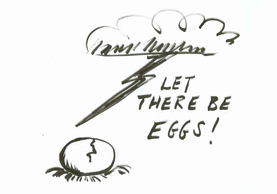 Let there be eggs! Let there be eggs!