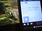 #3: "Burt the Turt loves listening to NPR on 88.9 WFSU in Tallahassee, FL." #3: "Burt the Turt loves listening to NPR on 88.9 WFSU in Tallahassee, FL."