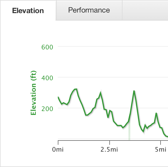 Elevation map of Payam's ride