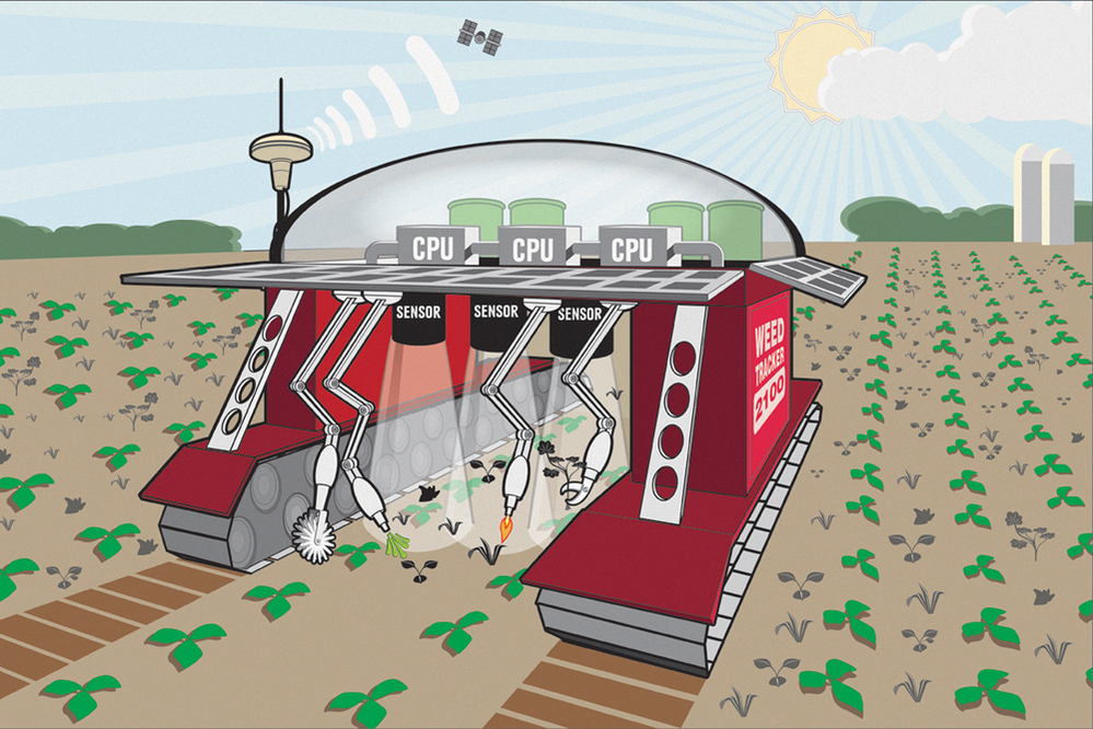 An illustration imagines what a weed-seeking robot could look like, armed with different tools to attack different problem plants.