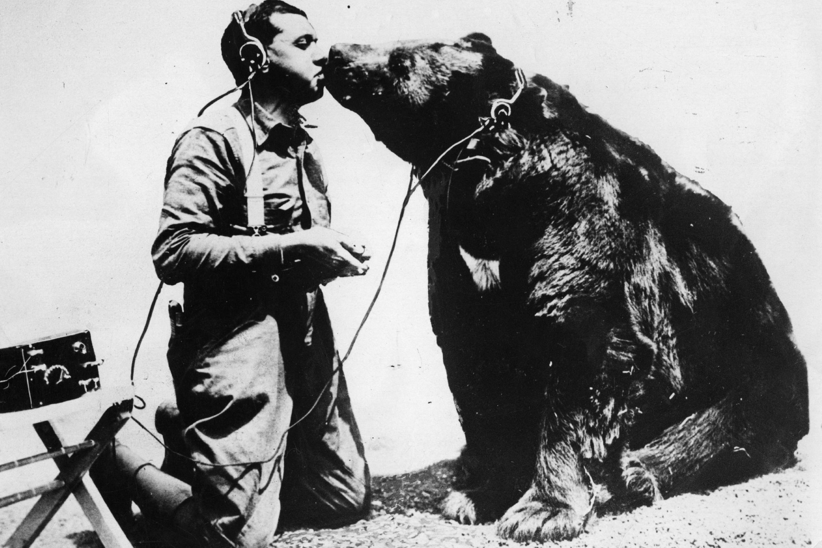Bear hug? Bear kiss!