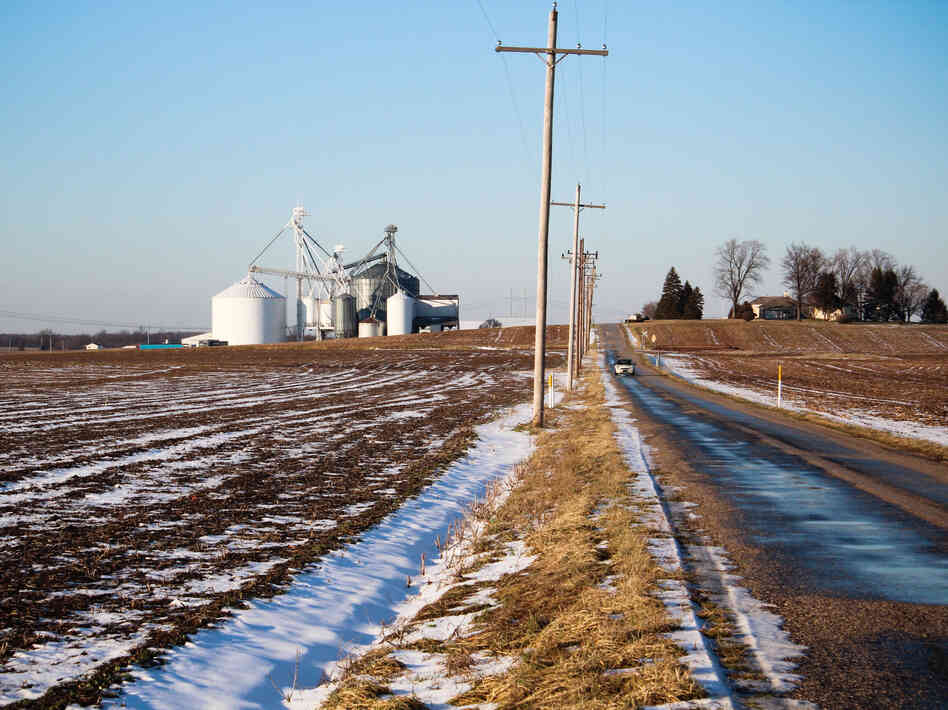 Bowman bought ordinary soybeans from this small grain elevator and used them for seed. Bowman bought ordinary soybeans from this small grain elevator and used them for seed.