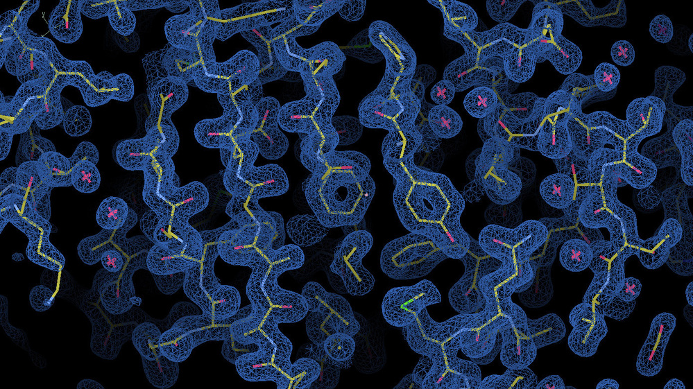 A rendering of the BC0361 polysaccharide deacetylase and its electron density map