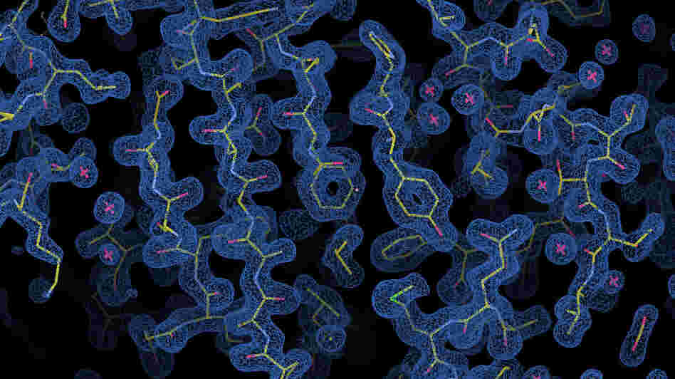 A rendering of the BC0361 polysaccharide deacetylase and its electron density map