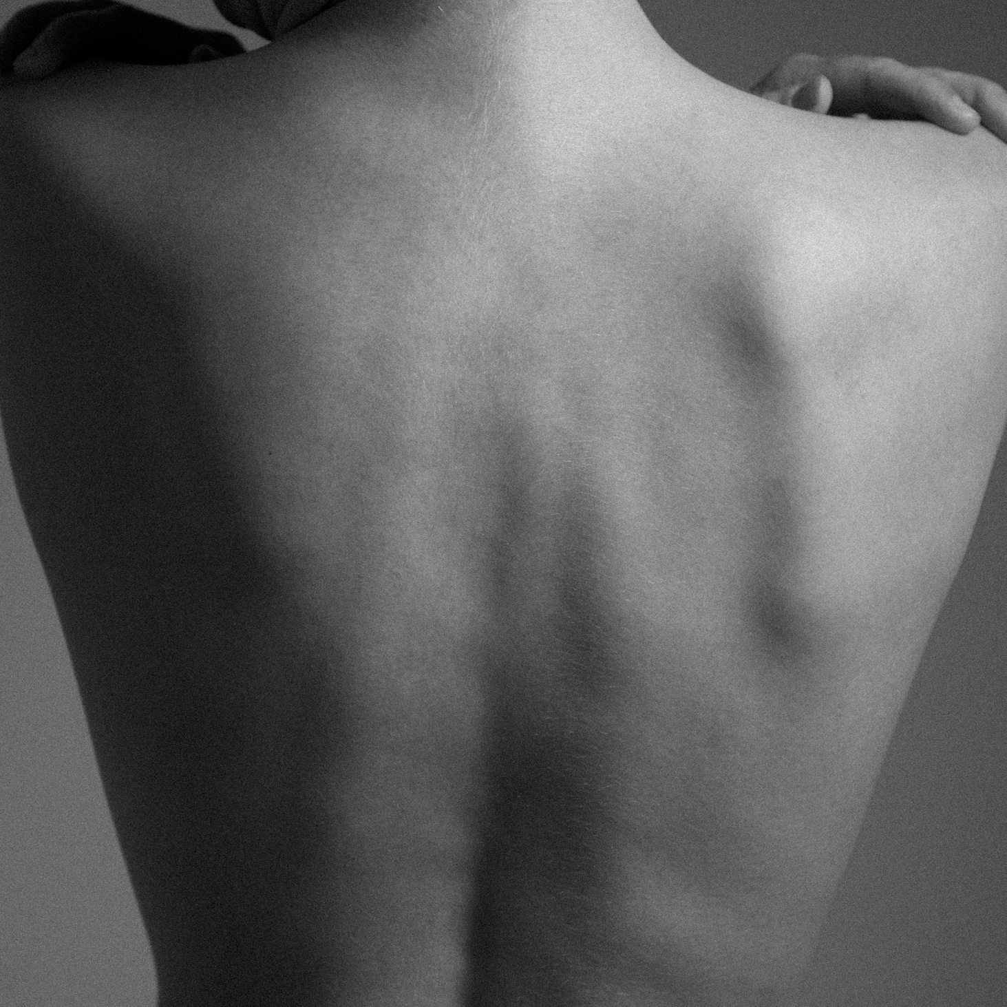 Rhye's debut album, Woman, comes out March 5.