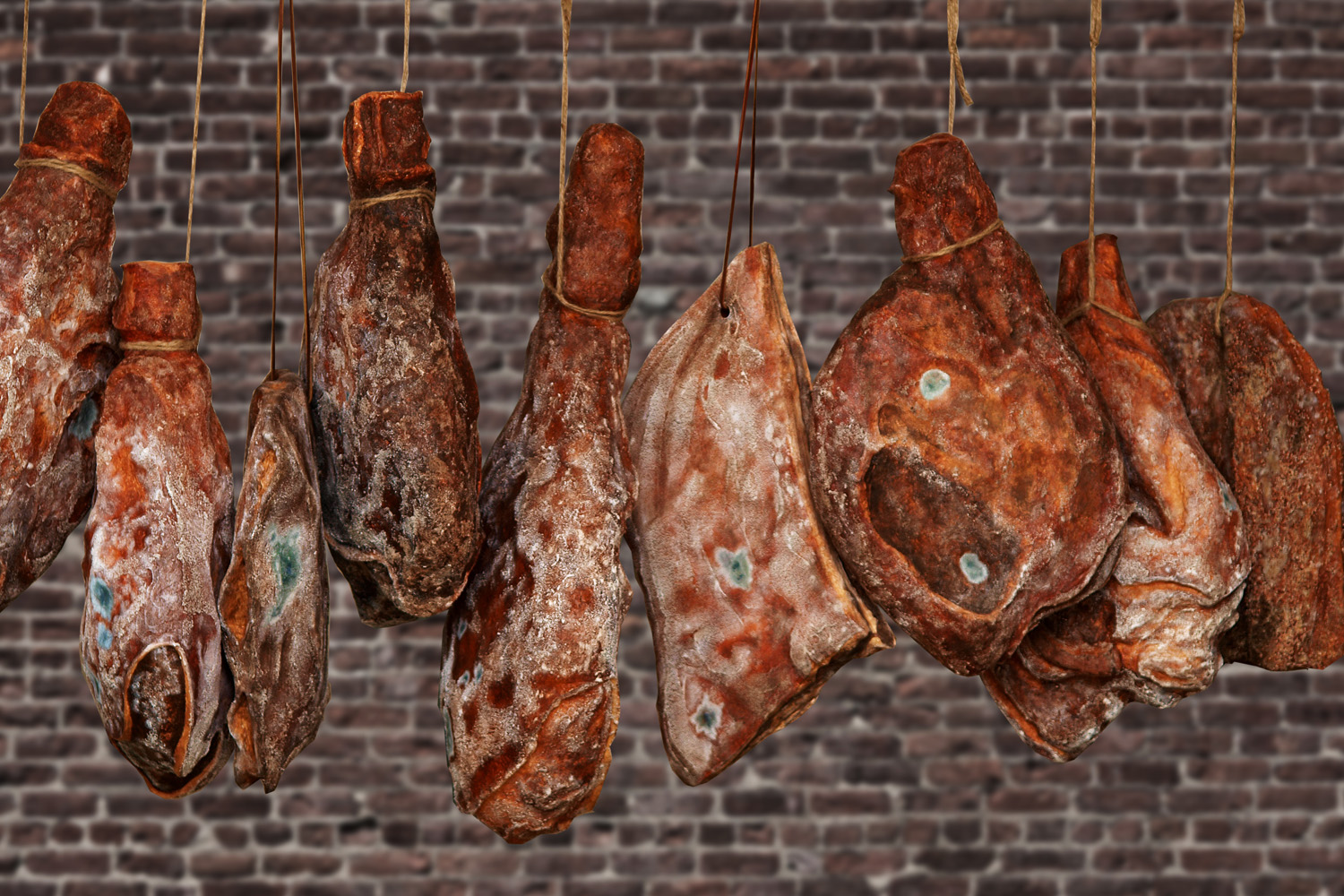 When Levins made faux smoked hams for the refurbished smokehouse at Monticello, she even detailed the bluish-green mold that Thomas Jefferson's own hams and would have developed as they aged. When Levins made faux smoked hams for the refurbished smokehouse at Monticello, she even detailed the bluish-green mold that Thomas Jefferson's own hams and would have developed as they aged.