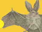 Cover: Vampires In The Lemon Grove Cover: Vampires In The Lemon Grove