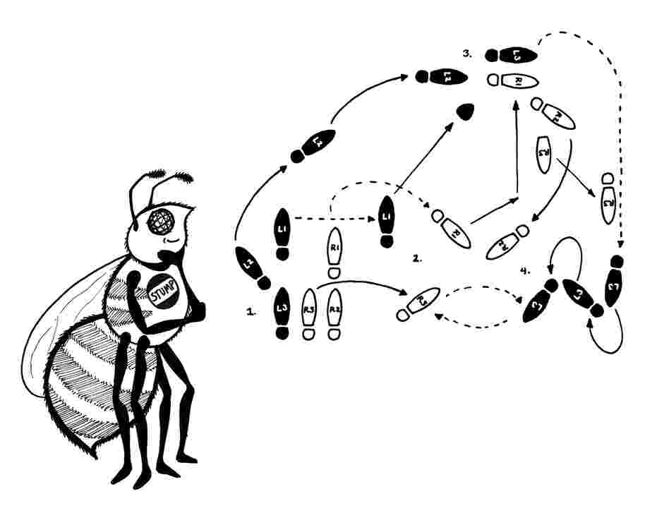 The waggle dance. The waggle dance.