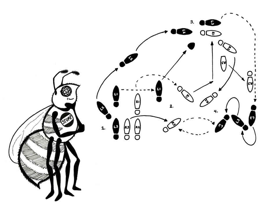 The waggle dance. The waggle dance.