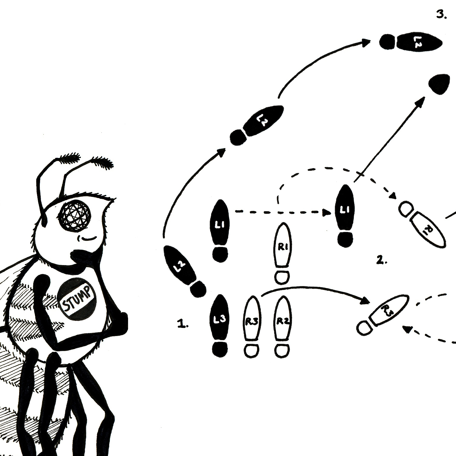 The waggle dance.
