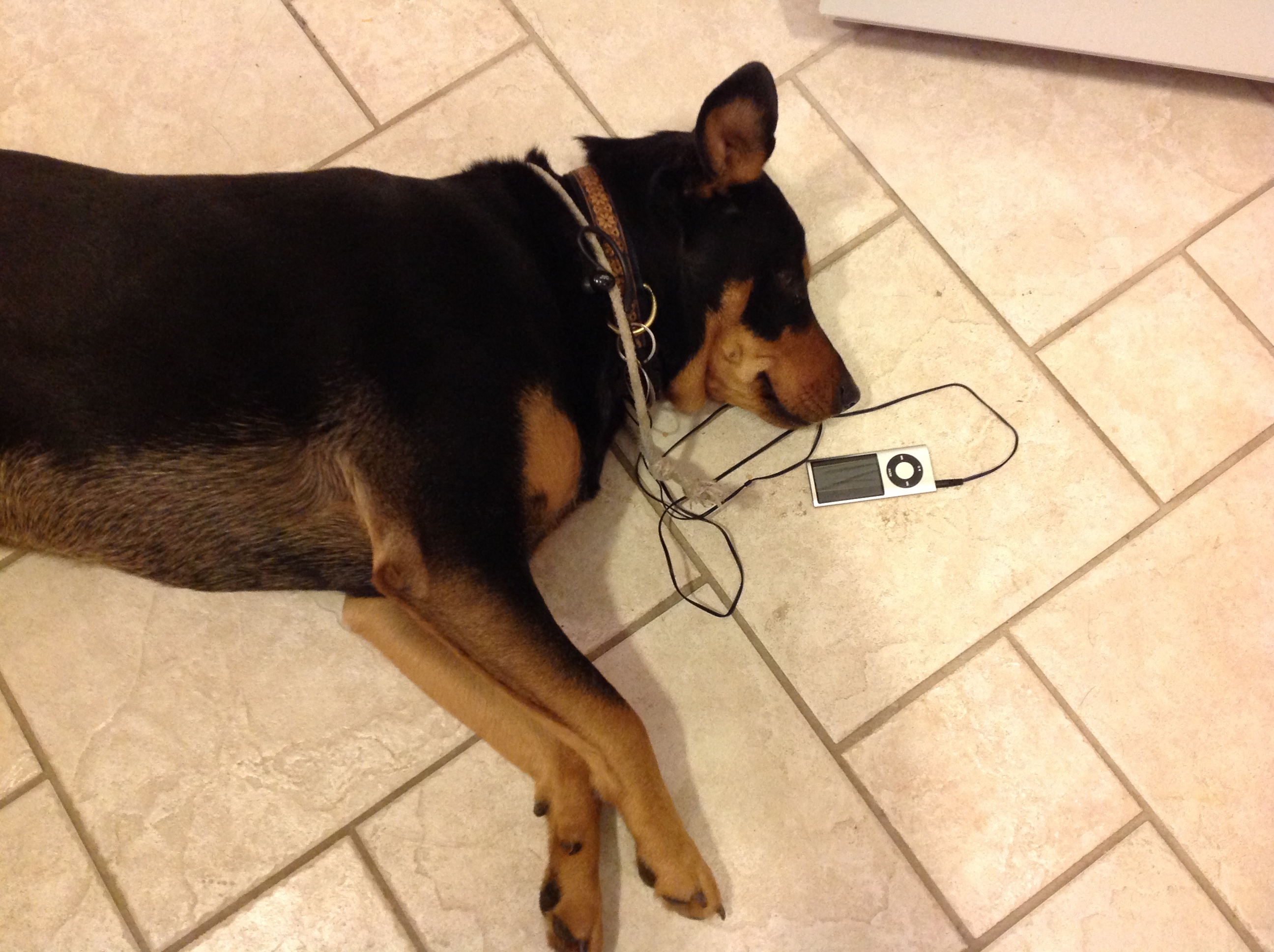 "BenJammin often takes a break from dub step practice to listen to KIOS-FM [Omaha, NE]. He especially appreciates science and world music programming."