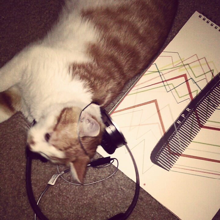 "Sam thinks the new KUTX [Austin, Texas] is puuurrfect!