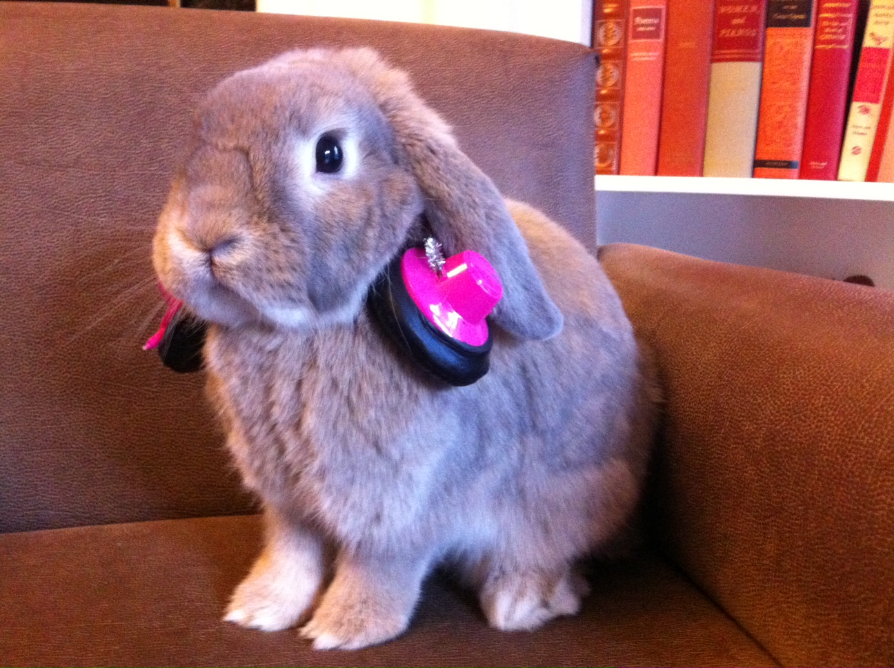 "Cinnamon says NPR Member station KPCC [Southern California] is Buntastic."
