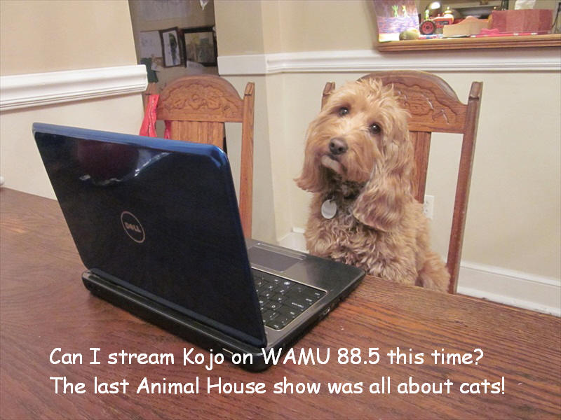 "Our dog, Hermione, loves NPR, and so do we!"