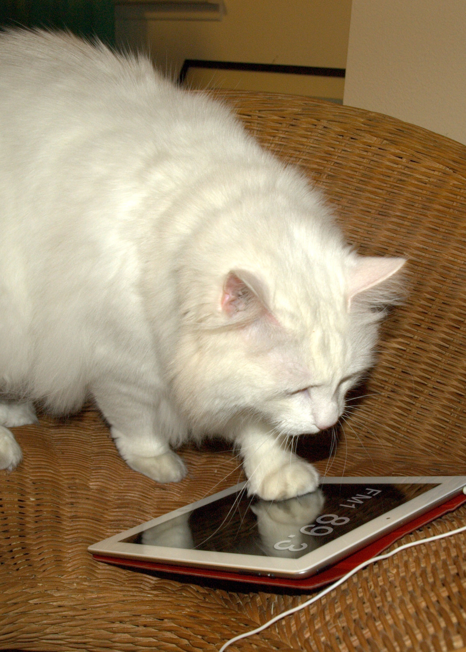 "Charmin listens to KPCC [Southern California] on his iPad"