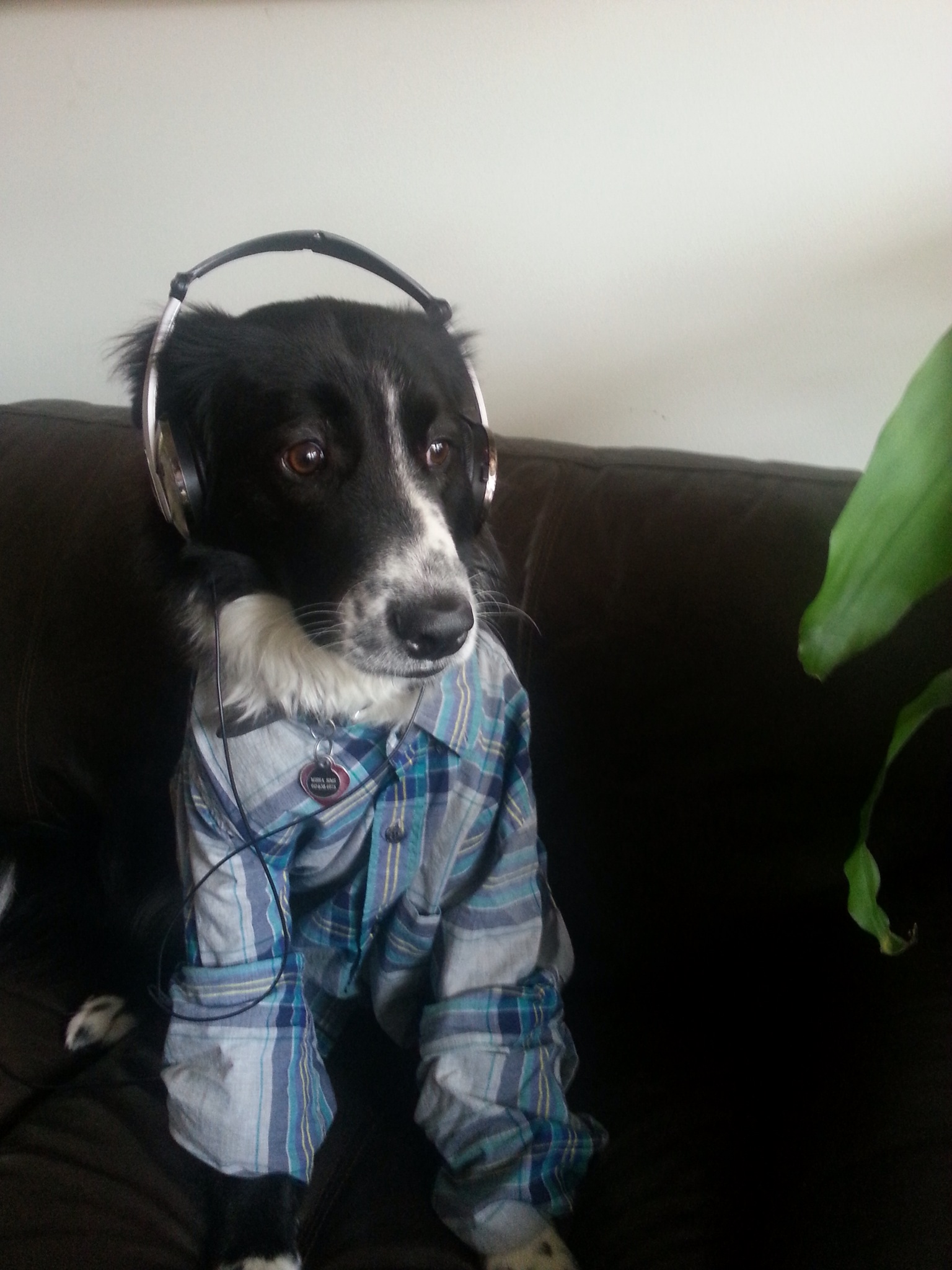 "Gus loves listening to thought-provoking shows (and fly jams) on WUNC out of Chapel Hill, NC."