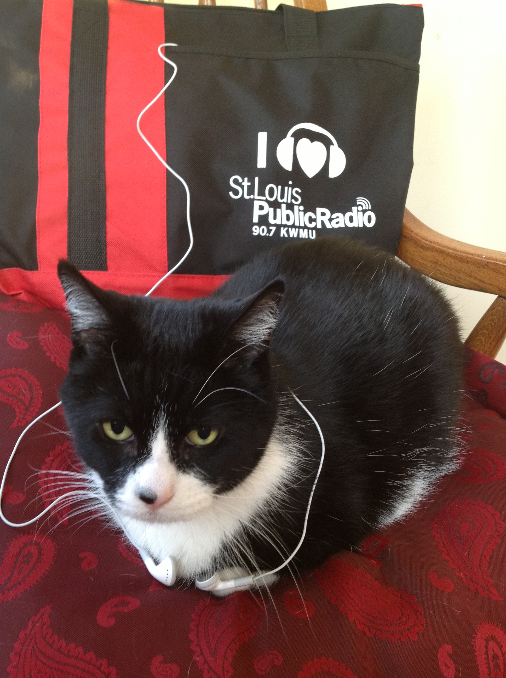 "Owen listens to KWMU in St. Louis, MO."