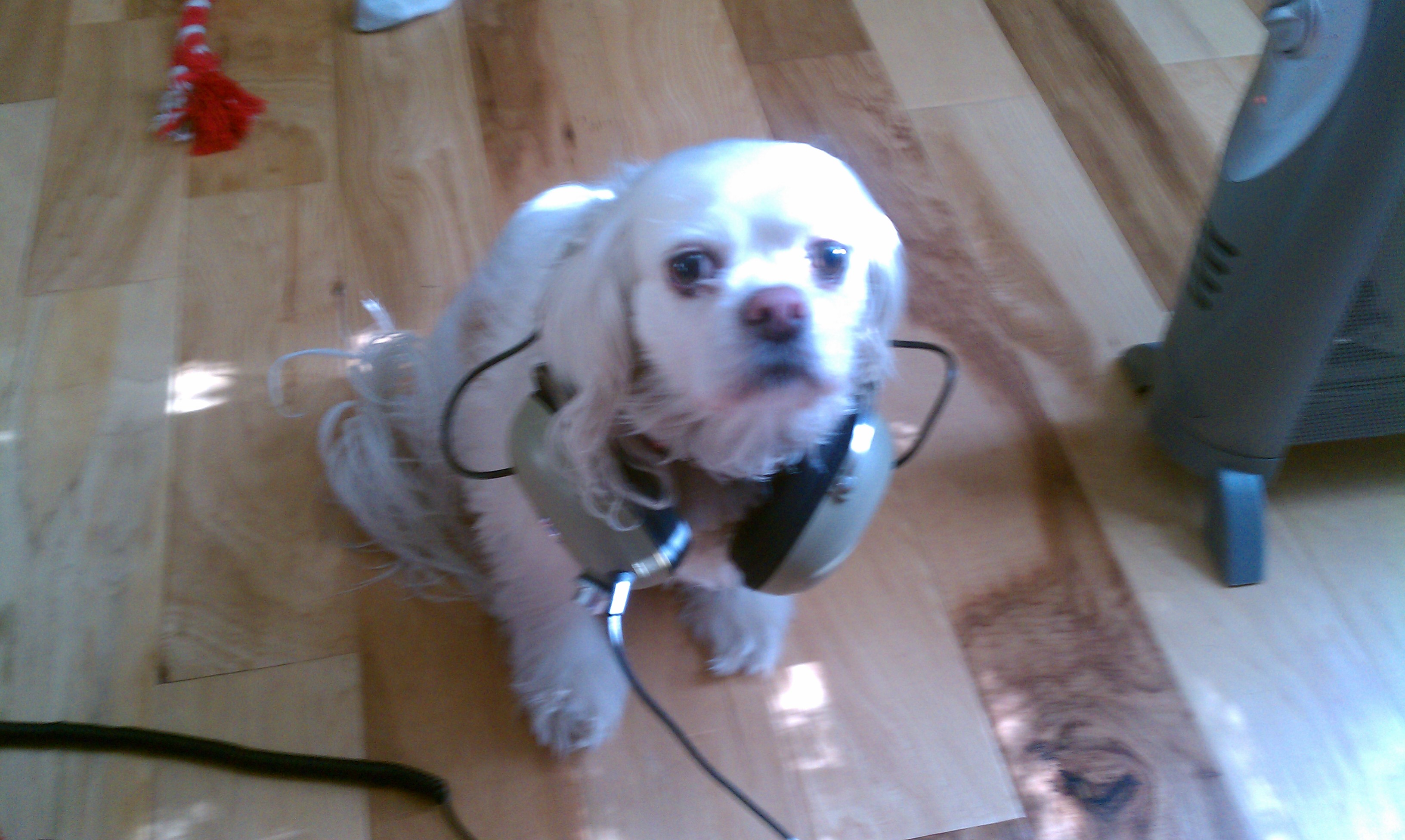 "This is Cynthia Rose who listens to KCUR [Kansas City, MO] every day while I'm away at work."