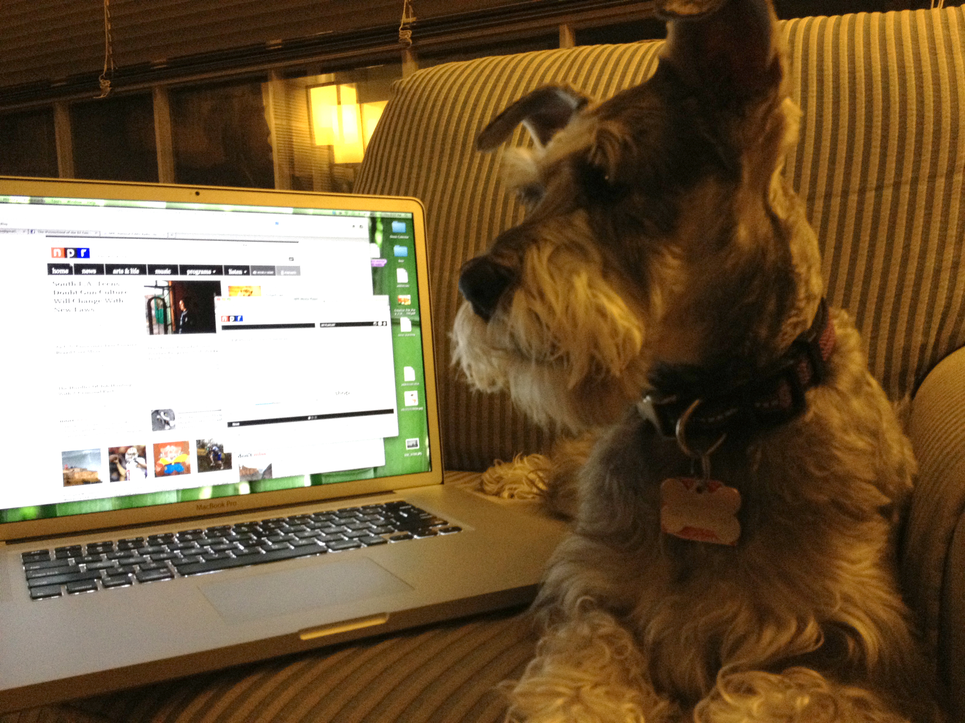 "This is Owen (aka Super Owen). We both get our daily NPR fix on 104.1WGVR in Grand Rapids, MI, but I admit he pays the most attention during Car Talk."