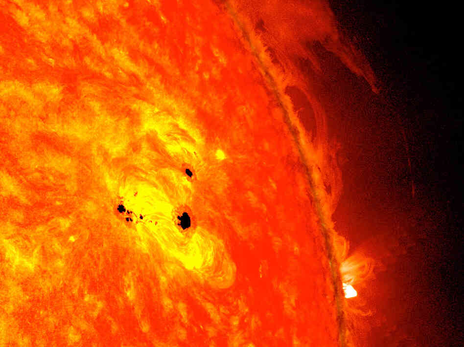 The bottom two black spots on the sun, known as sunspots, appeared quickly over the course of Feb. 19-20, 2013.