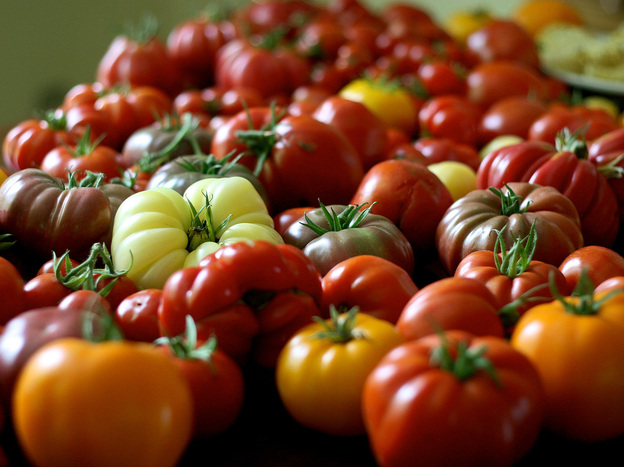 Organic tomatoes come in all shapes and sizes.