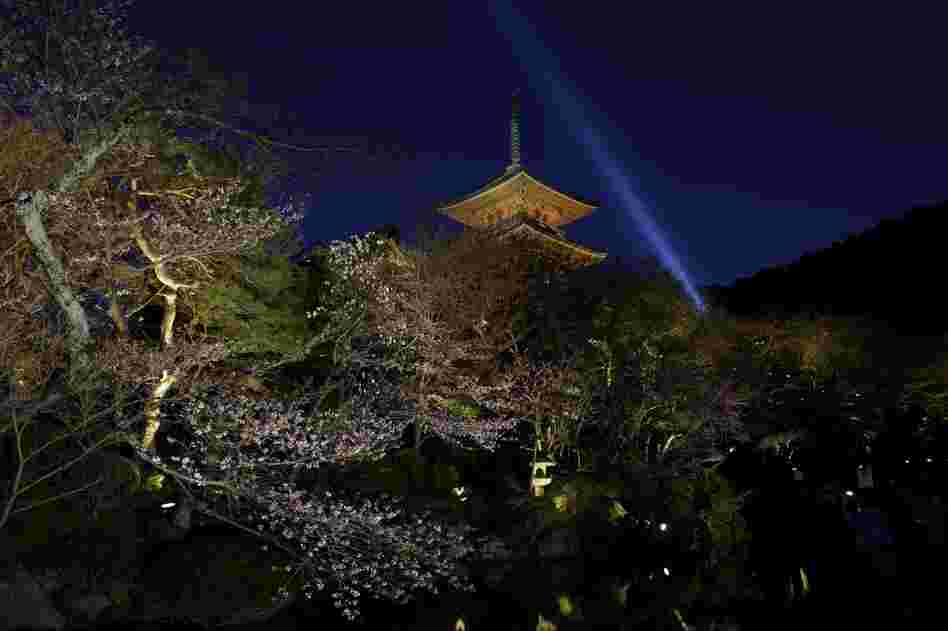 Hanami (flower viewing), Sakura (Cherry Blossom Festival), Kiyomizu-Dera Temple, Kyoto, Japan