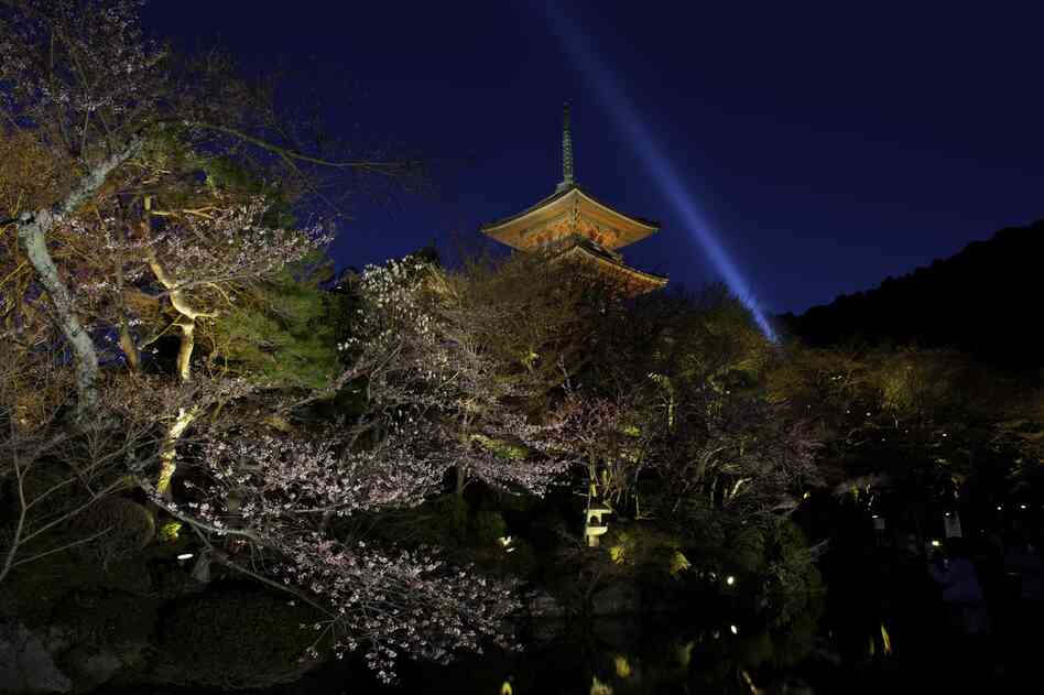 Hanami (flower viewing), Sakura (Cherry Blossom Festival), Kiyomizu-Dera Temple, Kyoto, Japan