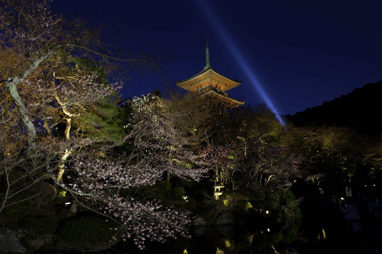 Hanami (flower viewing), Sakura (Cherry Blossom Festival), Kiyomizu-Dera Temple, Kyoto, Japan