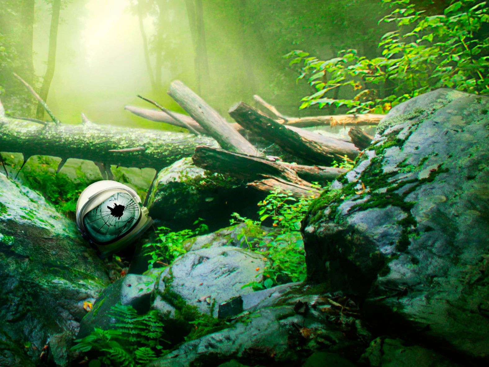 Into the wild chris mccandless essay