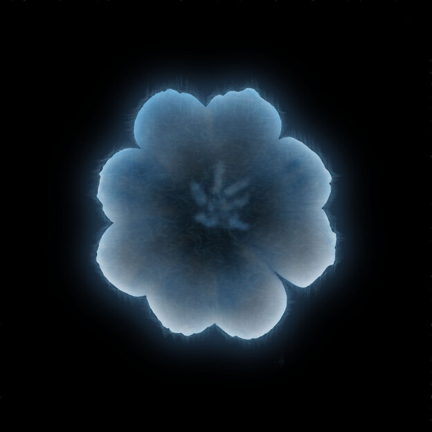 Electric field (artist's depiction). Flowers have a weak negative electric charge relative to the air around them. Different flowers have different electric fields, often with charge concentrated at the tips of the petals.