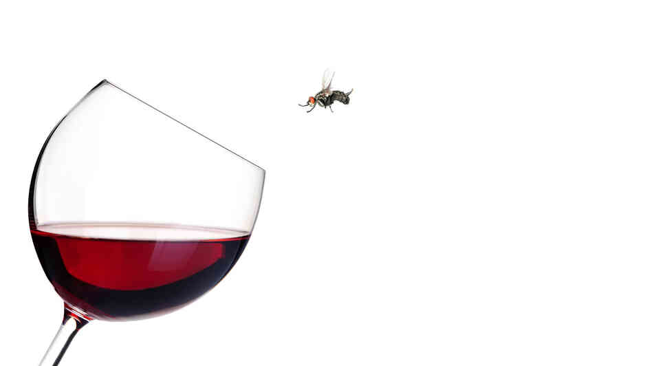 Alcohol: a key babyproofing product for this little mother.