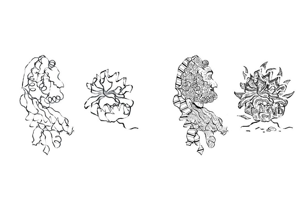 The interaction between ribosomal protein L11 (right molecule) and the methyltransferase protein that acts upon it gave Maya the inspiration for this Biblical scene of Moses and the Burning Bush
