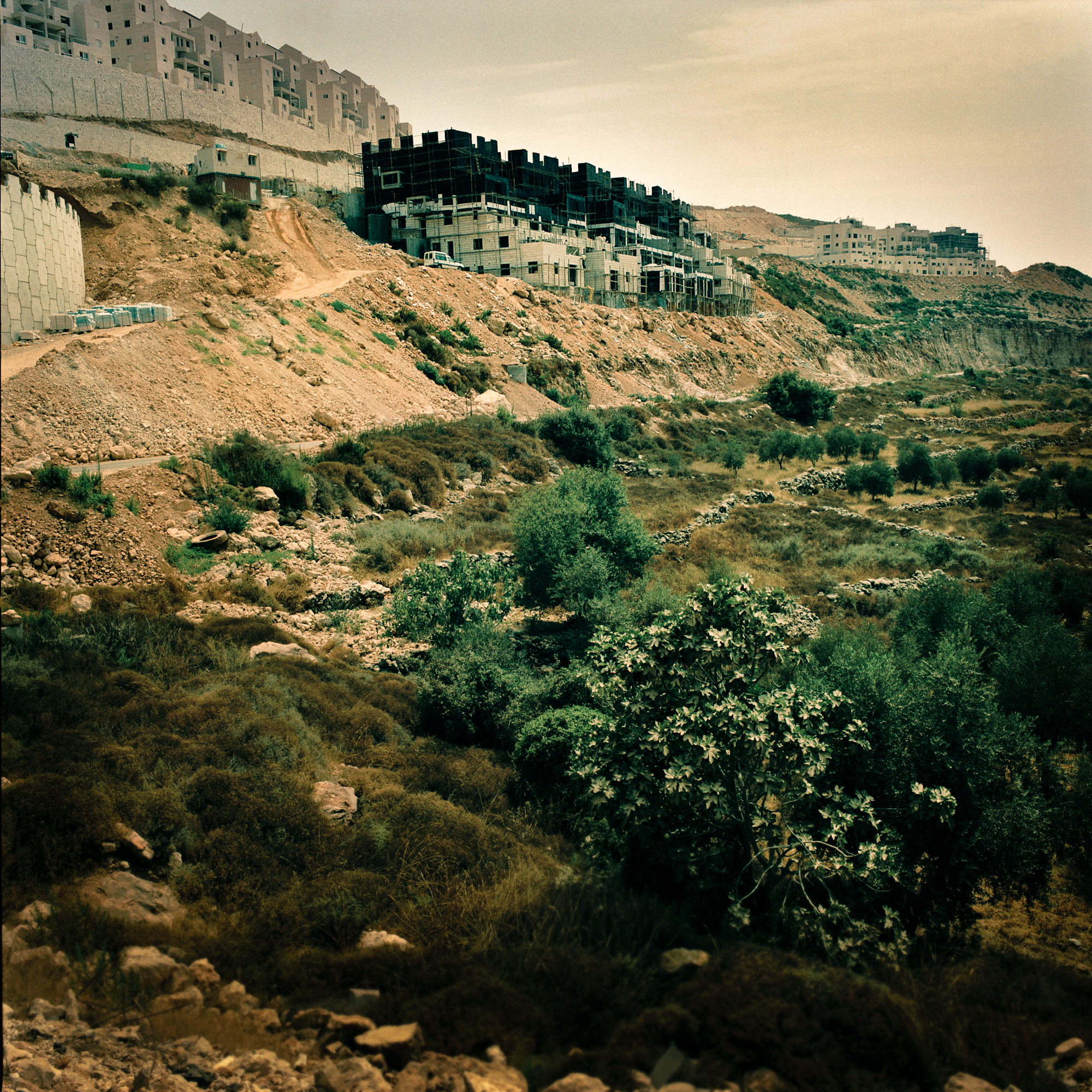 The ongoing construction of Beitar Illit above the ancient farming terraces of Wadi Fuqin.