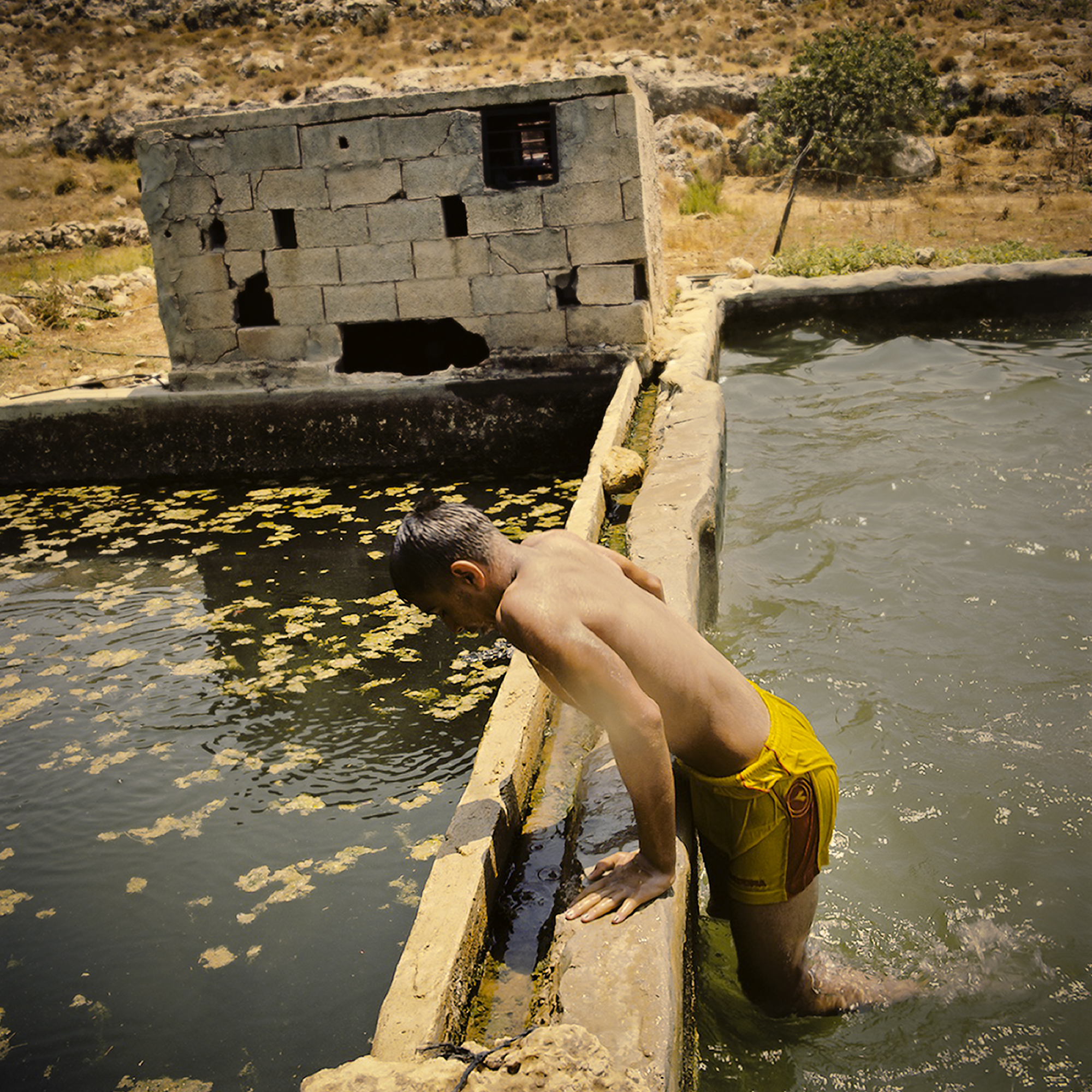 A Palestinian teenager bathes in the ancient farming pools of Wadi Fuqin. 