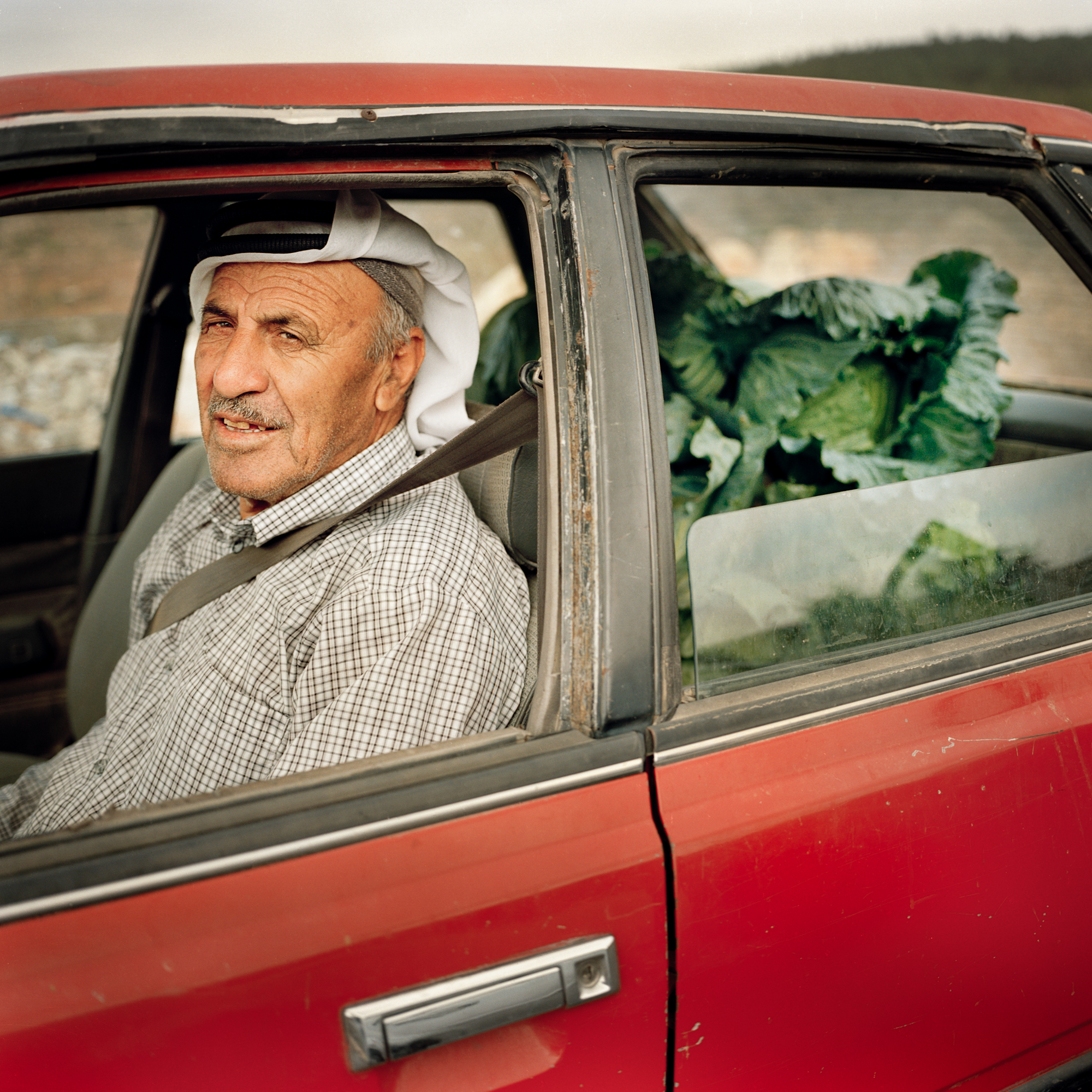 Jamil takes cabbages to the market in Bethlehem.