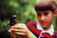 In this childhood photo, Prosek holds a dead magnolia warbler that flew into the window of his family's living room.